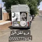 عربه نقل خيل في الرياض