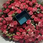 بعض من التنسيقات لمناسبات مختلف