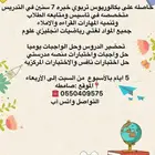 معلمه تاسيس ومتابعه ابتدائي ومتوسط جميع المواد بصامطه