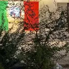 مطعم بيتزا وباستا للتقبيل  الامام مسلم