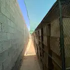حوش مشروع دواجن للايجار