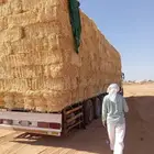 تبن ناعم جديد