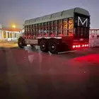 سكس للبيع مديل 1984 ومديل 1980 نوادر البيع على السيارتين