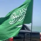 علم كبير