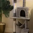 بيت قطط كبير