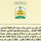 ارض للبيع بصك وادي جليل الطائف