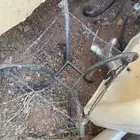 طولات للبيع