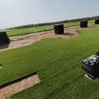مزرعه ثيل طبيعي الدرجه الاولى الخرج