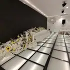 كوش افراح ومناسبات