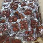 تمر افطار صائم وخلاص