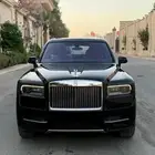 روز كولينان سلفر باج 2019