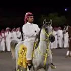 حصان واهو