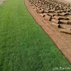 تركيب الثيل الطبيعي بالرياض