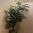 نخلة صناعية زرعة