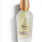 عطر بورتيرت من بلوم
