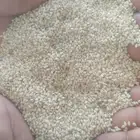 الرياض حي النور مؤسسة امتياز الخليج