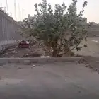 نص ارض في قرطبه المحاله فقط ب325 الف