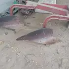 صاروخ حراثه قديم اصلي