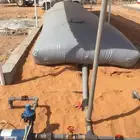 القوه عز التايجر وبس
