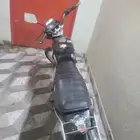 دباب x100. تم البيع