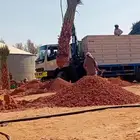 يوجد لا دينا جميع انواع انخيل الي له رغبه يتوصل