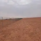 مقاول شبوك