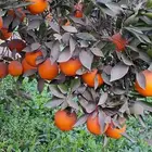 فرص استثمار واعدة ومتميزة