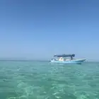 طلعات بحر جدة جولة نزهة جزيرة بياضة رحلات صيد