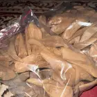 عود مروكي اصقون من جزيرة آصقون من اندونيسيا