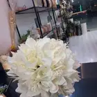 منسق ورد يبحث عن عمل في جيزان يمني الجنسيه