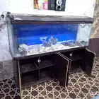حوض سمك كبير