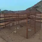 شبك دجاج اوحمام للبيع