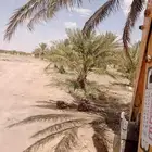 جي سي بي للأيجار