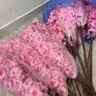 ورد اسطناعي