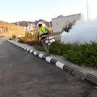 مكفحت الحشرات والزواحف. 100