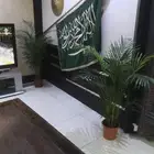 اشجار خارجي وداخلي