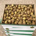 تمر سكري عضوي فاخر