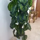 مدخل ومزهرينات شبه جديد