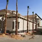 نخل وشنطوني