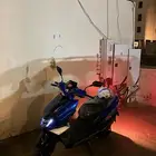 دباب عجيب افينوس جديد