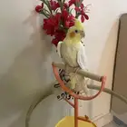 السلام عليكم ورحمه الله وبركاته ما شاء الله تبارك الل