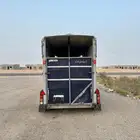 عربة نقل خيل راسين الطائف وضواحيها