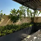 نوافير شلالات مراكن زرع