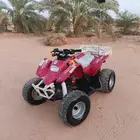 دباب
