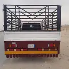 دينا مستوبيشى