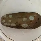 حجرنيزك نادر غريب