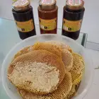 مناحل الجنوب