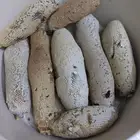 عسل حر طبيعي