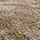 علف الخلطة المتوازنة للدواجن والطيور والحمام