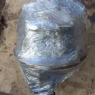 كرونة دينا ايسوزو موديل 2015